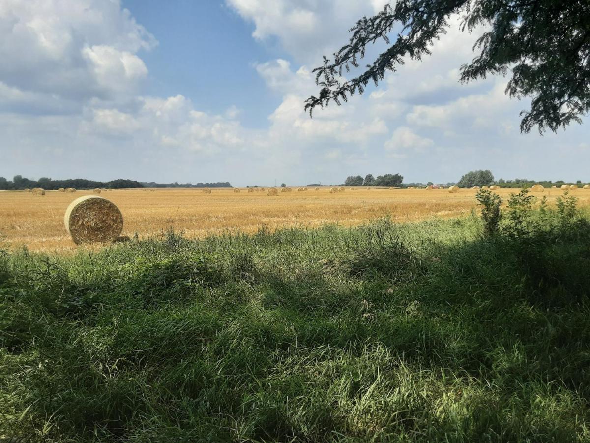 Herberg Tisza Tiszababolna Экстерьер фото