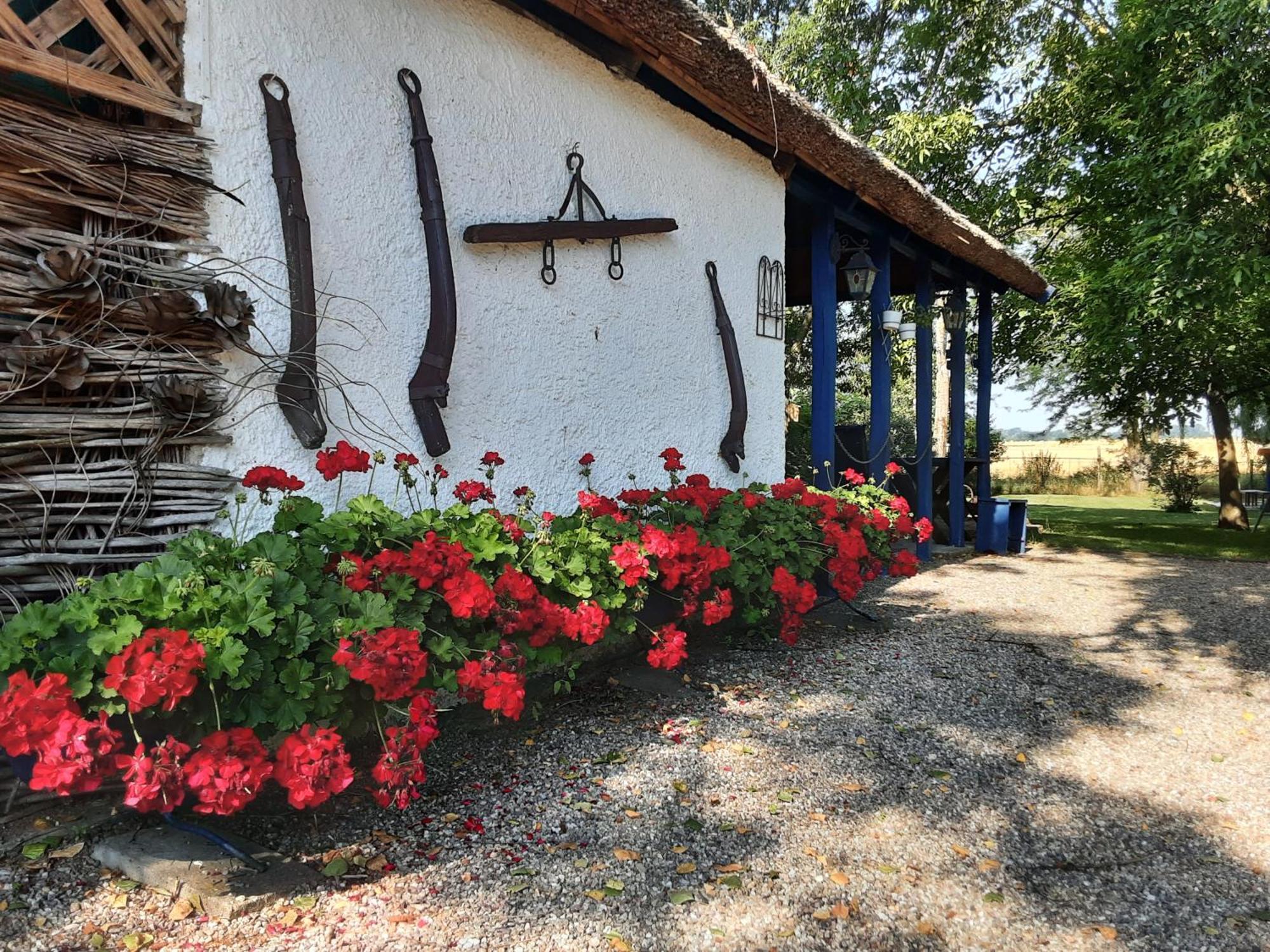 Herberg Tisza Tiszababolna Экстерьер фото
